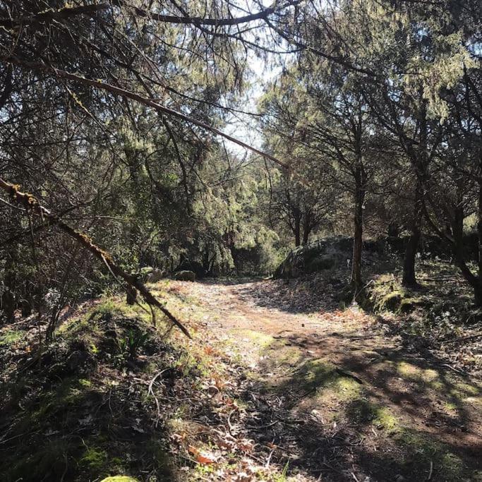 Casa Rural El Sobraillo ビジャヌエバ・デ・ラ・ベラ エクステリア 写真