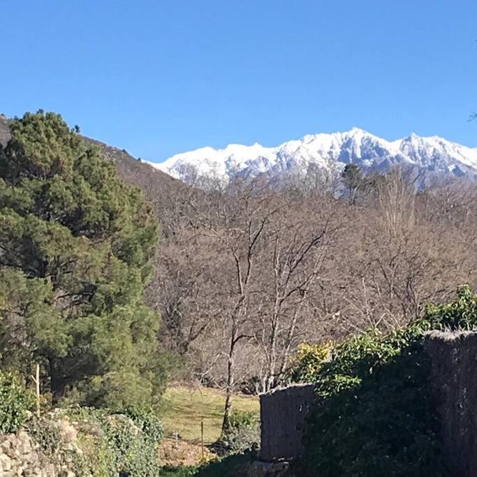 Casa Rural El Sobraillo ビジャヌエバ・デ・ラ・ベラ エクステリア 写真