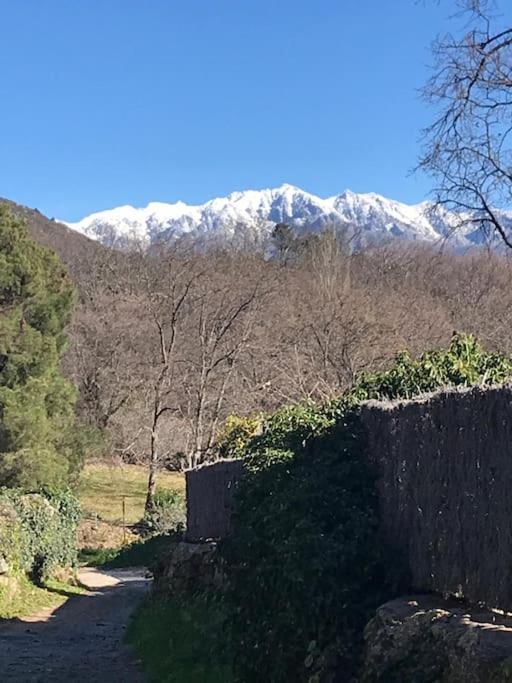 Casa Rural El Sobraillo ビジャヌエバ・デ・ラ・ベラ エクステリア 写真